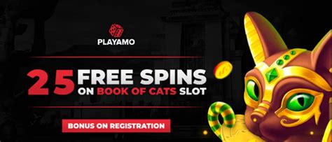 bonus code playamo|Playamo Casino No Deposit Bonus Promo Codes 2024.